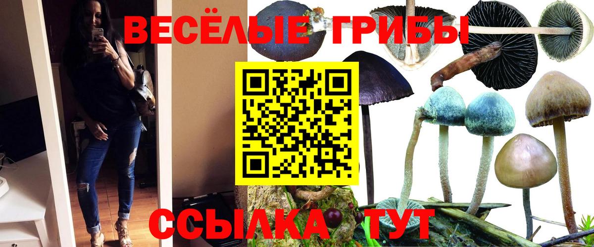 Псилоцибиновые грибы ЛСД  Вход с VPN  Тверь  Псилоцибиновые грибы мицелий 