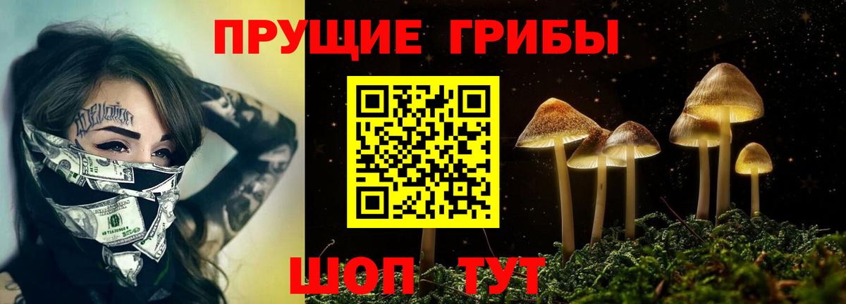 Галлюциногенные грибы прущие грибы Тверь