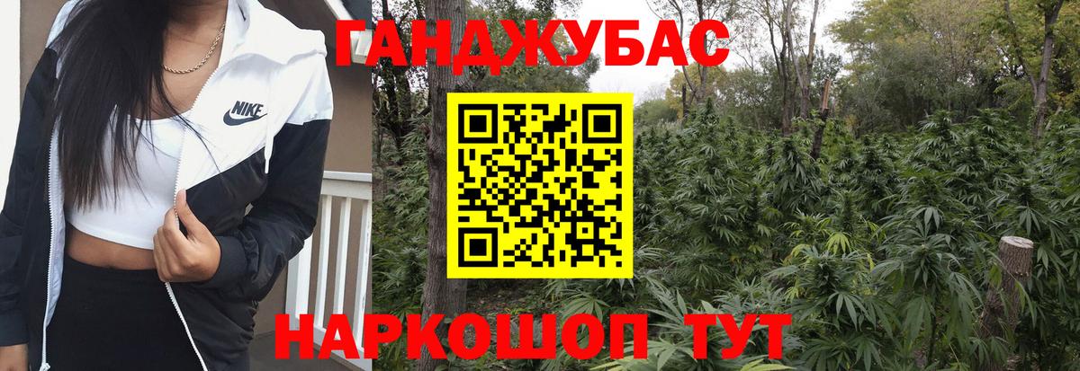 Бошки Шишки план Тверь